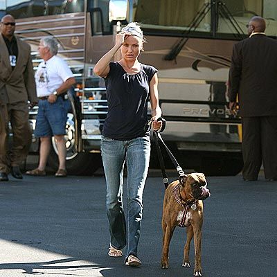 Cameron Diaz with her dog